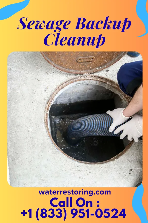 Sewage Backup Cleanup in New Lebanon, OH