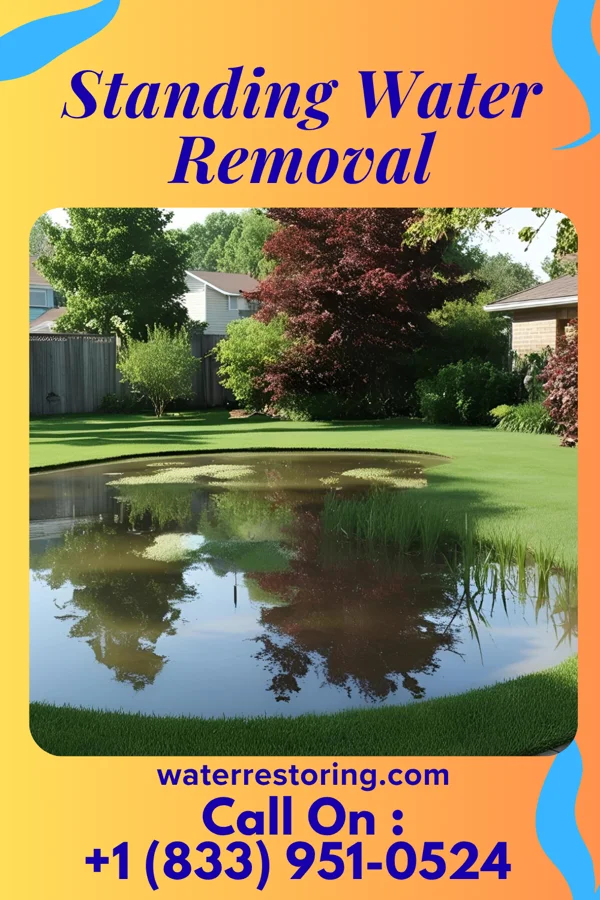 Standing Water Removal in New Lebanon, OH